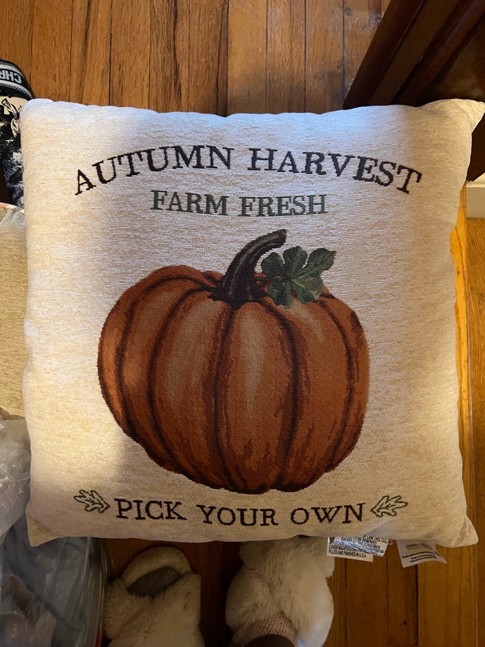 Autumn Harvest Pumpkin Decorative Throw Pillow - Orange